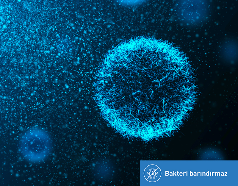 Bakteri Barındırmayan Everfresh ile Tanışın!